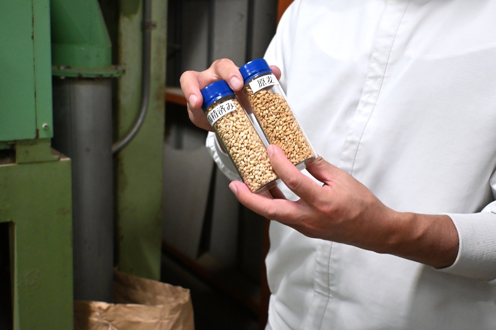 搗精を終えた小麦（左）と、搗精前の原麦（右）